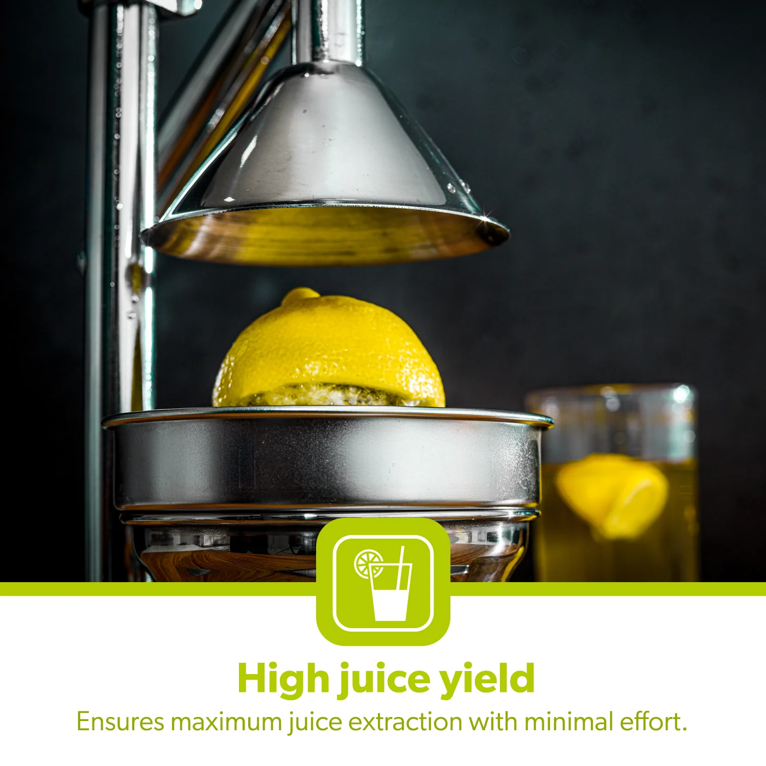 Heavy-Duty Stainless Steel Hand Press Manual Juicer - Image 5